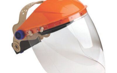ProChoice Browguard with Visor BGVC