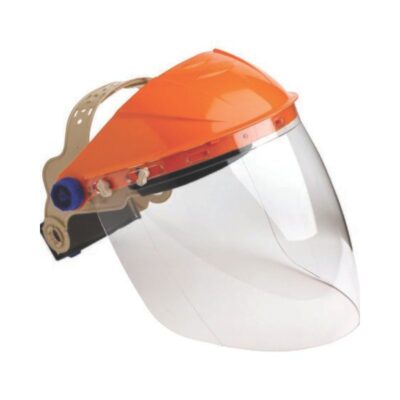 ProChoice Browguard with Visor BGVC